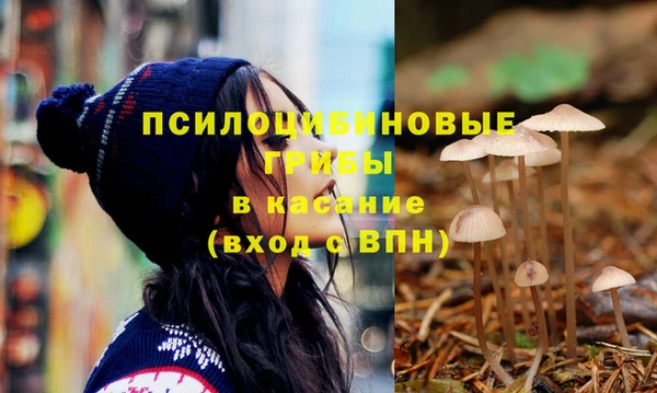 стаф Балахна
