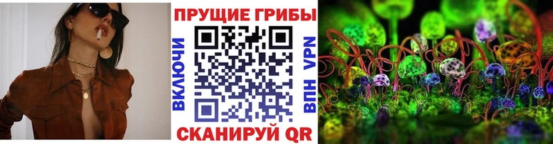 Псилоцибиновые грибы мицелий  наркота  Балей 